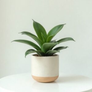 Faux Plant in Pot