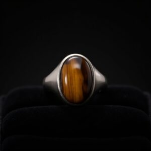 Tiger's Eye Titanium Band Ring No.2