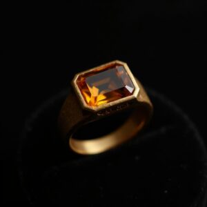 Tiger's Eye Titanium Band Ring No.54