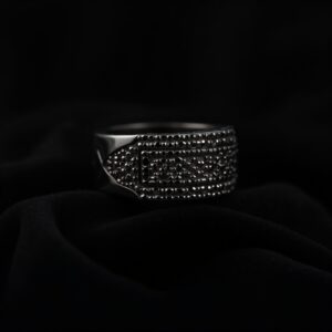 Jade Titanium Band Ring No.70